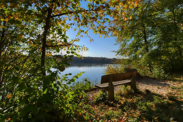 的里昂却意 的里昂却意