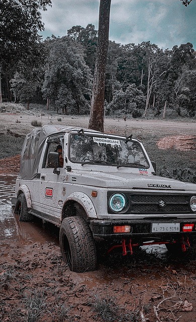 在此项目中 在此项目中