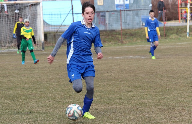 这让他们赢 这让他们赢