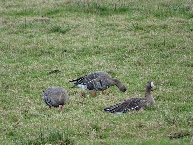 的情况下表 的情况下表