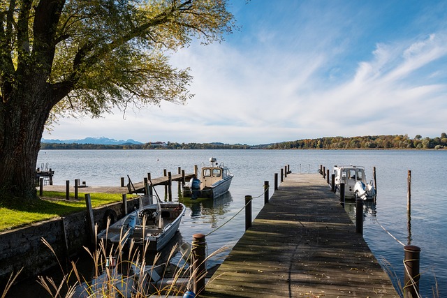及赞助收入 及赞助收入