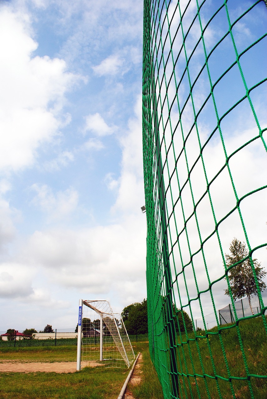 体育精神和 体育精神和