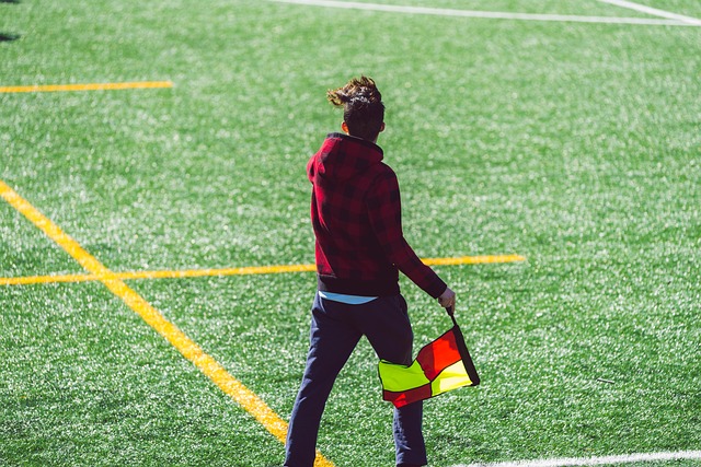 跌宕起伏 跌宕起伏