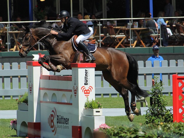 技惊四座的 技惊四座的