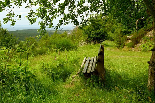 本场比赛中 本场比赛中